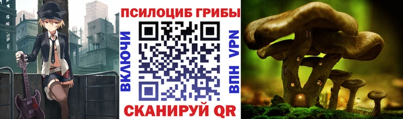 Галлюциногенные грибы мицелий  Вятские Поляны 