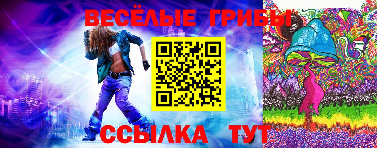 Псилоцибиновые грибы Cubensis Вятские Поляны